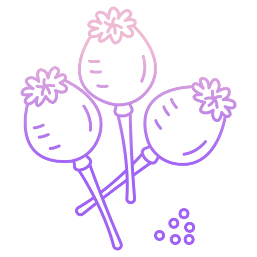 Poppy flower poppy botanical icon Poppy flower poppy botanical icon