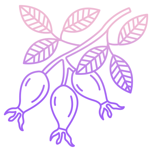 Rosehip petal nature plant icon Rosehip petal nature plant icon