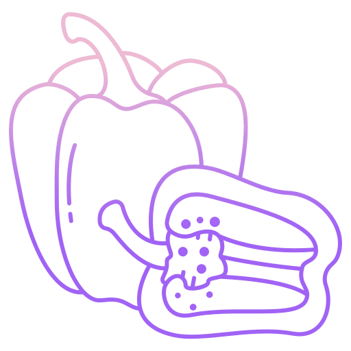 Paprika vegan healthy food organic icon Paprika vegan healthy food organic icon