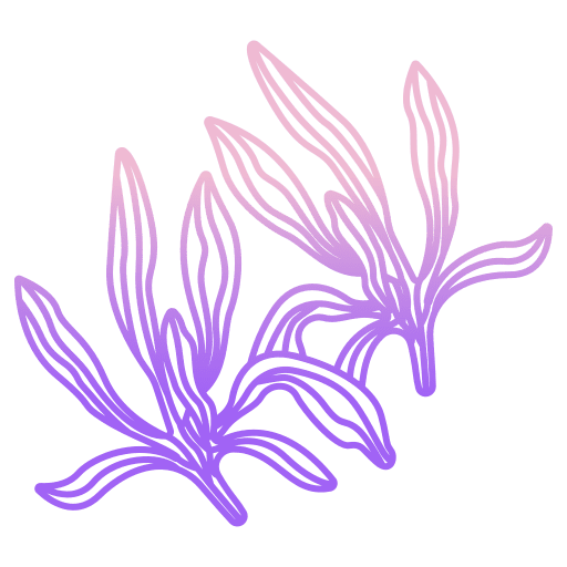 Savory botanic cooking nature icon Savory botanic cooking nature icon