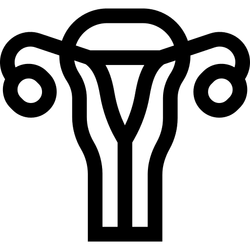 Ovary human body body organ fallopian tubes icon