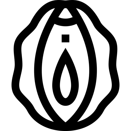 Vulva gynecology female organs vulva icon