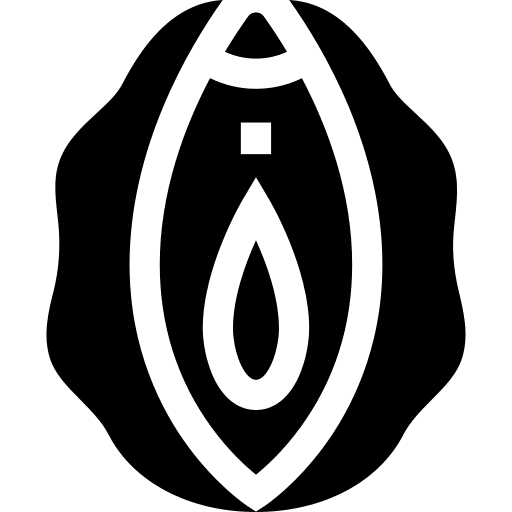 Vulva vagina vulva human body icon