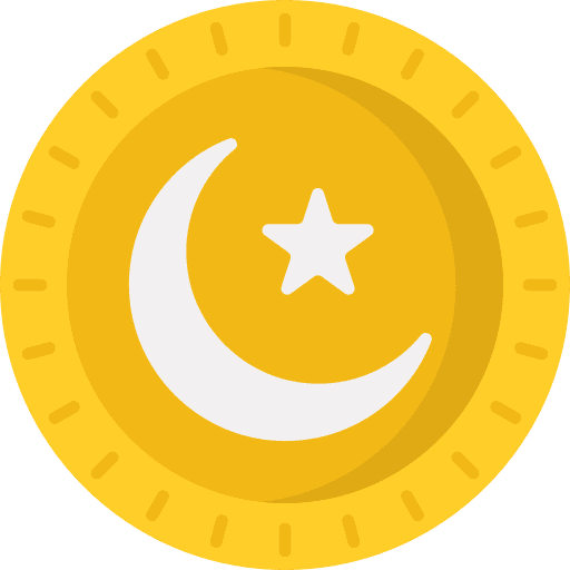 Coin pakistani business and finance money icon