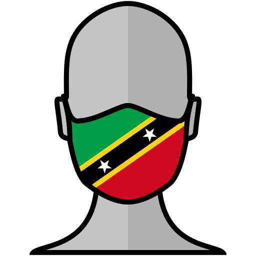 Face mask protection north america flag icon Face mask protection north america flag icon