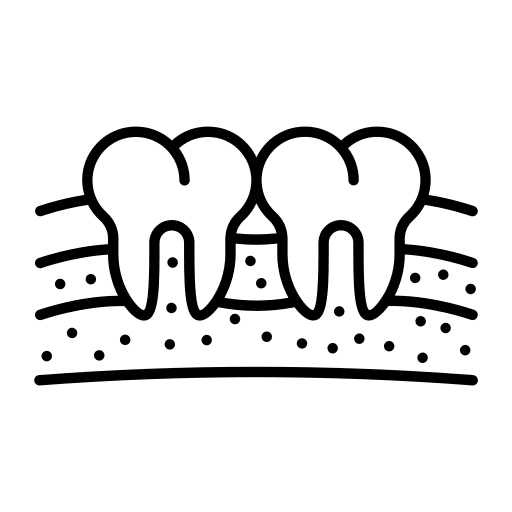 Anatomy tooth molar nerves icon