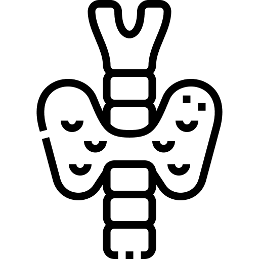 Endocrine system gland body part endocrine system icon