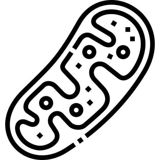 Mitochondria dna genome mitochondrial icon