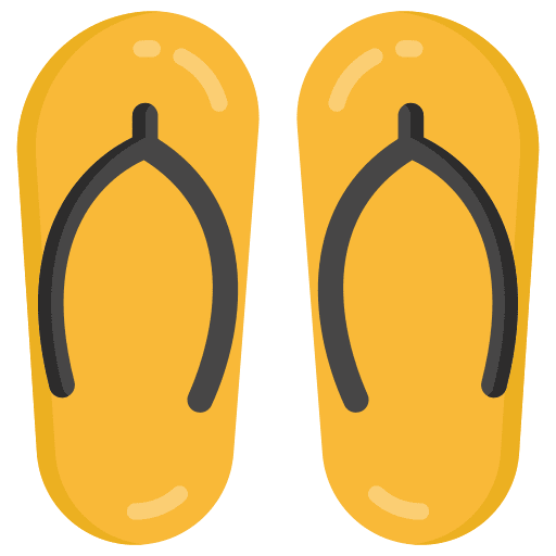 Flipflops sandals beach fashion icon