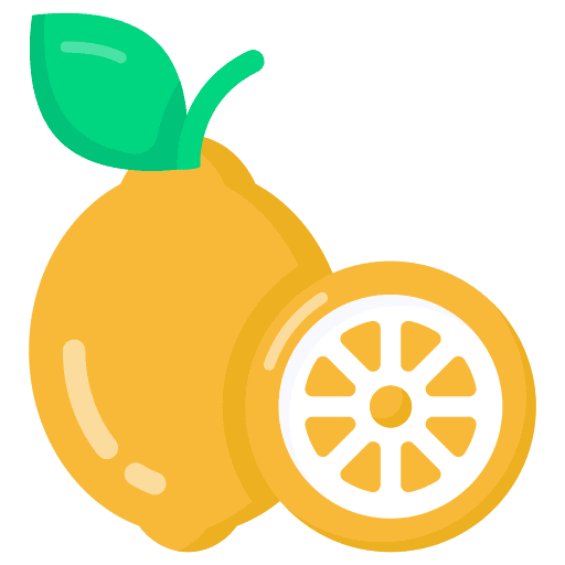 Lemon food fruit viburnum fruit icon