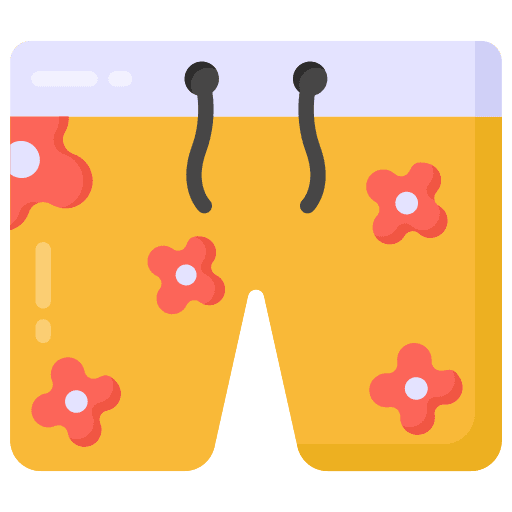 Shorts holidays clothes swimsuit icon