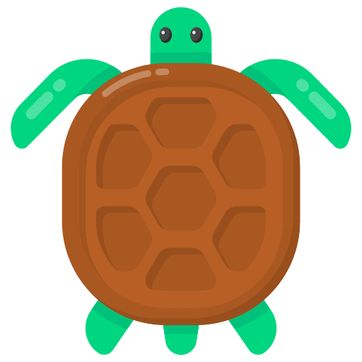 Turtle animals turtle zoo icon