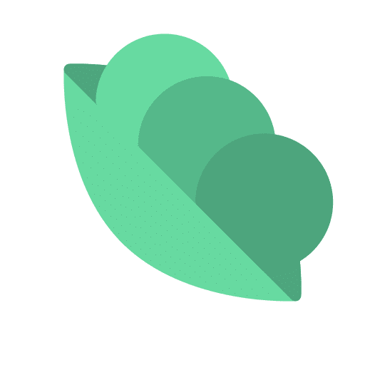 Peanut organic nut peanut icon