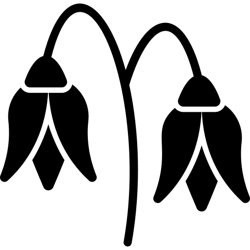 Bluebell petals blossom plant icon