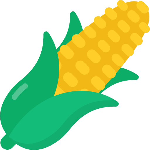 Corn vegan healthy food organic icon