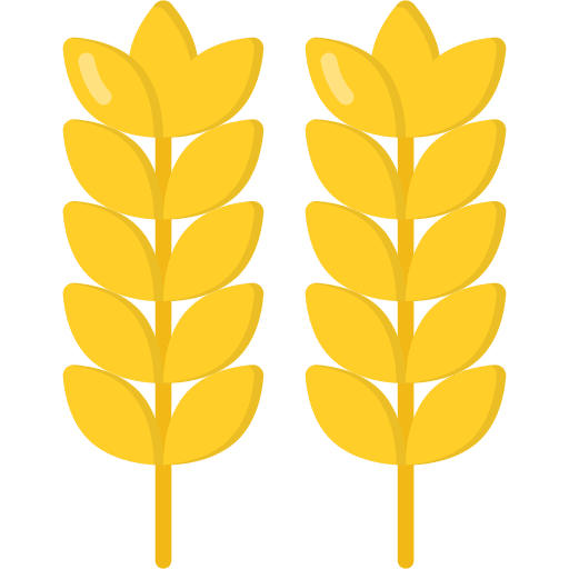 Cereals wheat grain rice icon Cereals wheat grain rice icon