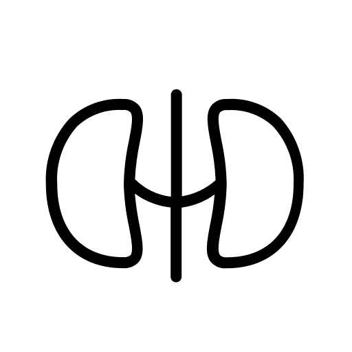 Kidneys body organ human body kidneys icon