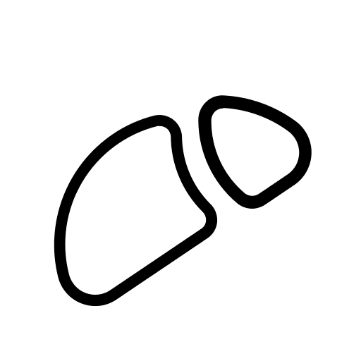 Liver internal transplant human body icon