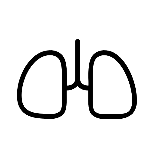 Lungs anatomy body part human organ icon