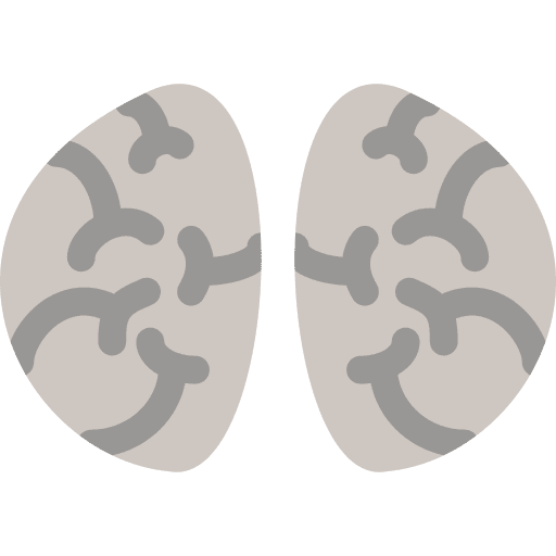 Brain human brain body organ human body icon