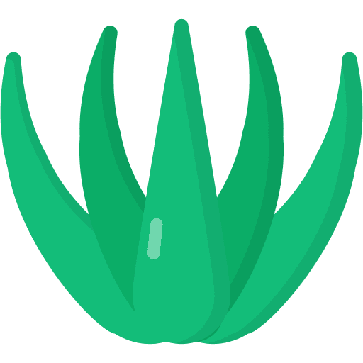 Agave botanical plant nature icon Agave botanical plant nature icon