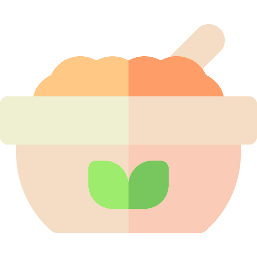 Granola healthy food porridge breakfast icon