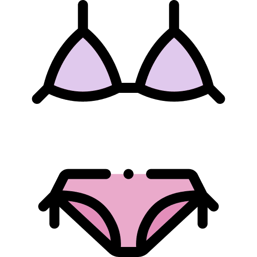 Bikini clothing femenine clothes icon