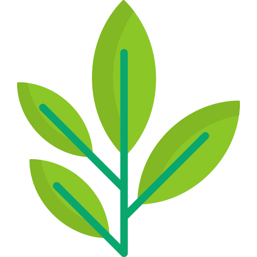 Green tea properties sprout aroma icon
