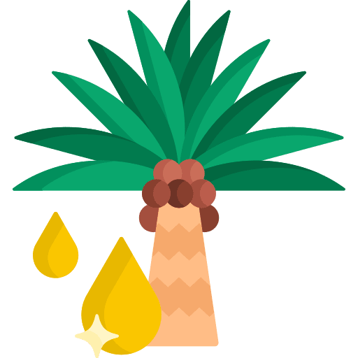 Palm oil nature botanical tree icon