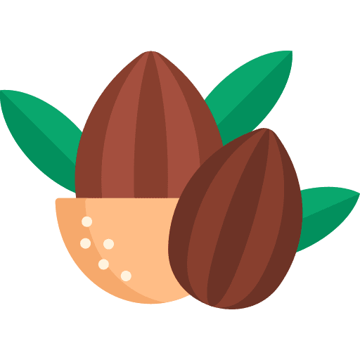 Almond nuts almond vegetarian icon Almond nuts almond vegetarian icon