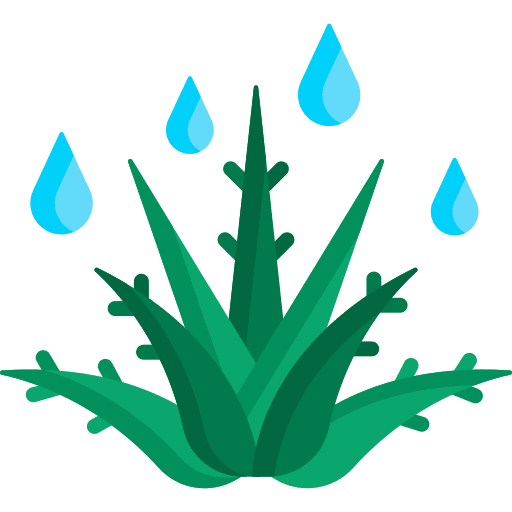 Aloe vera aloe vera plant juice icon Aloe vera aloe vera plant juice icon