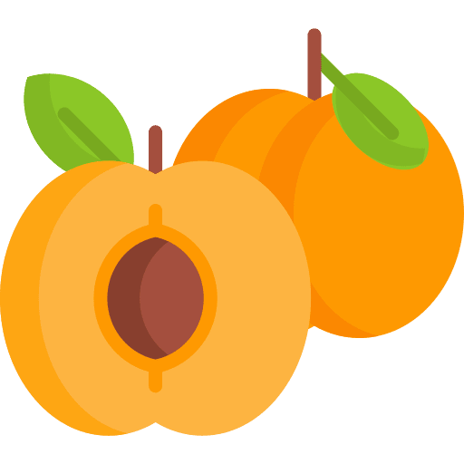 Apricot food and restaurant apricot fruit icon