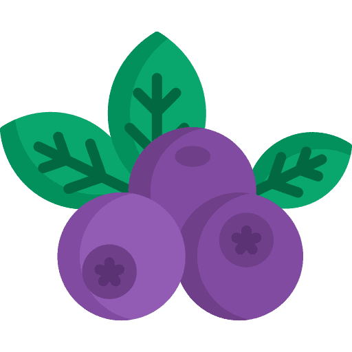 Blueberry food and restaurant berry nature icon Blueberry food and restaurant berry nature icon
