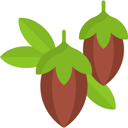 Jojoba dessert jojoba plant icon