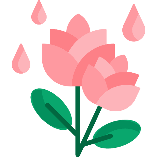 Rose rose nature flower icon Rose rose nature flower icon