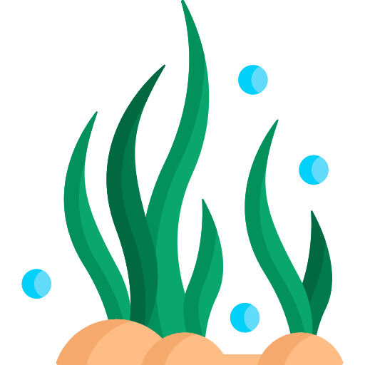Seaweed algae marine sea icon
