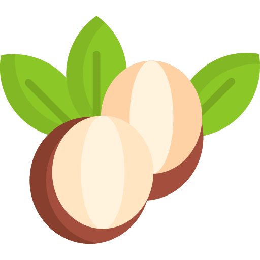 Shea butter plant nature organic icon Shea butter plant nature organic icon