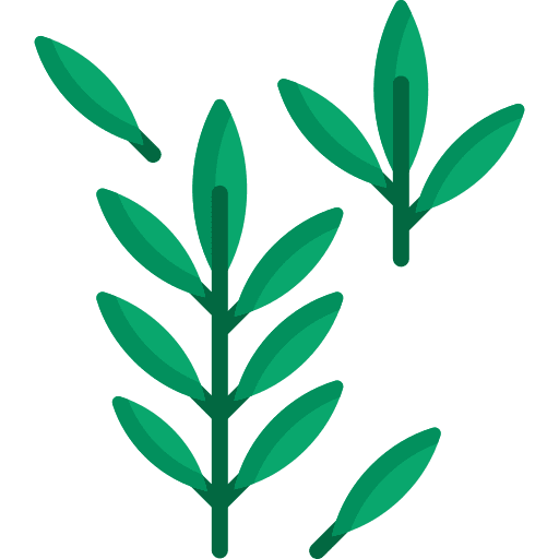 Green tea scent sprout properties icon Green tea scent sprout properties icon