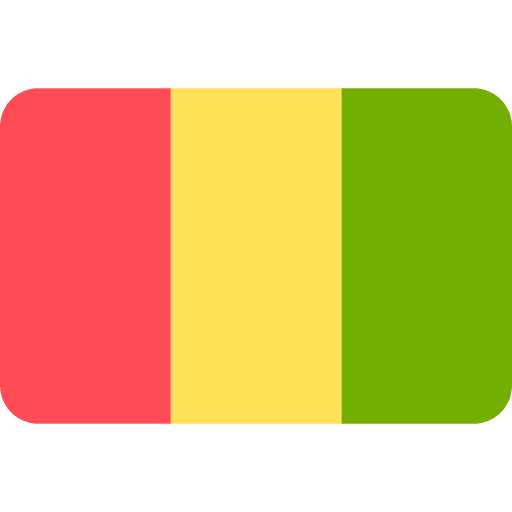 Guinea flag world flags icon