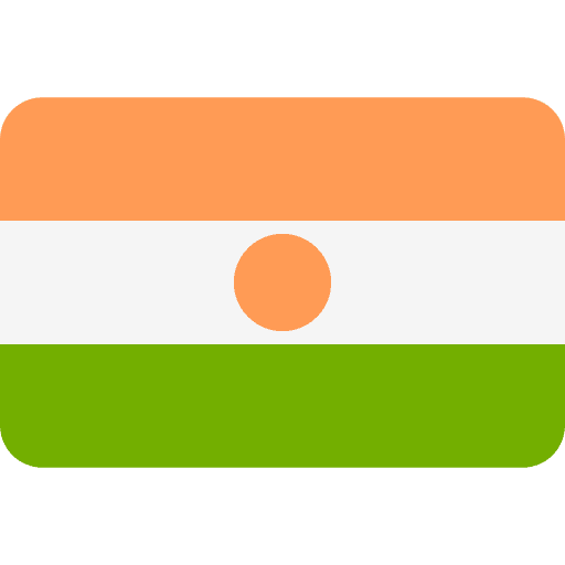 Niger nation flags country icon