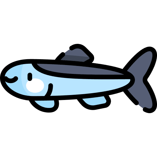 Anchovy animal kingdom wildlife seafood icon Anchovy animal kingdom wildlife seafood icon