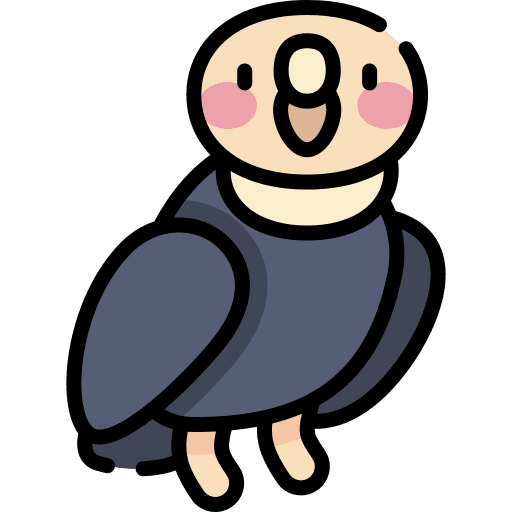 Condor bird animal kingdom andean icon