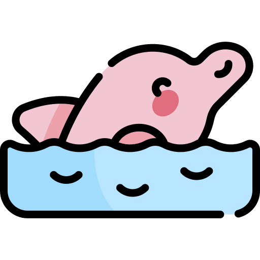 Dolphin amazon aquatic marine icon Dolphin amazon aquatic marine icon