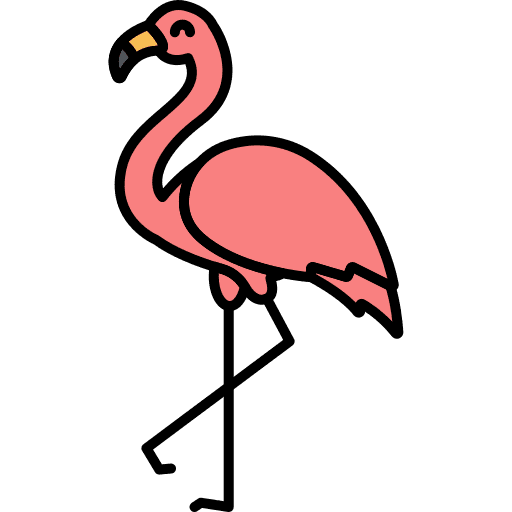 Flamingo animal kingdom bird animals icon