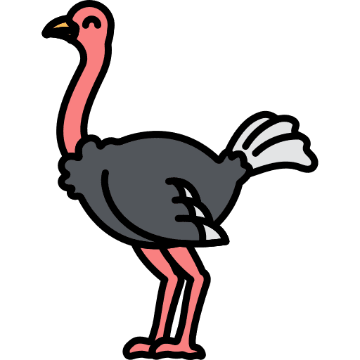 Ostrich wild life ostrich animals icon
