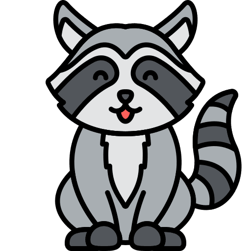 Raccoon animal mammal nature icon