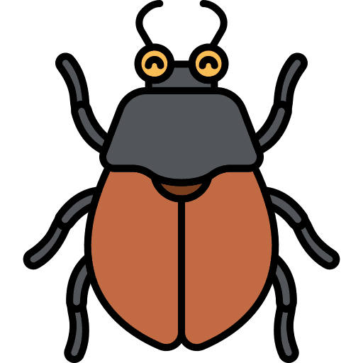 Beetle beetle animal kingdom insect icon