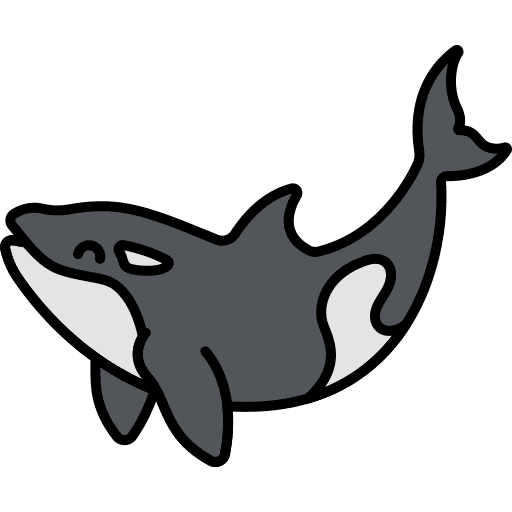 Orca animal kingdom orca animals icon
