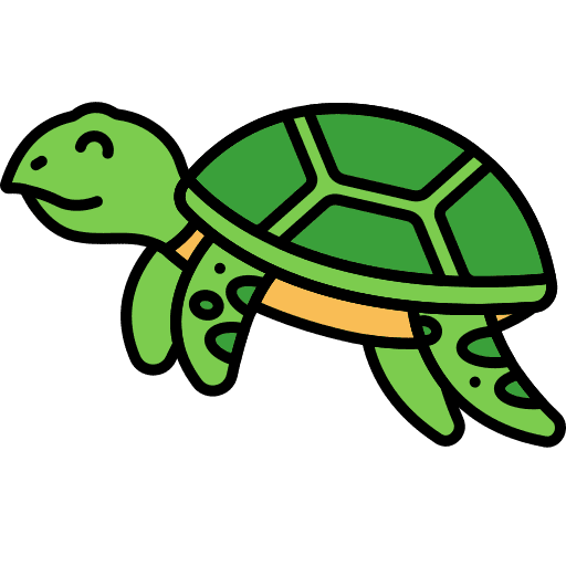 Tortoise tortoise turtle pet icon