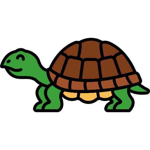 Turtle turtle animal kingdom animal icon